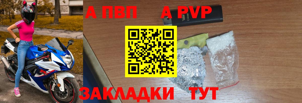 A PVP крисы CK Гай