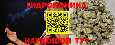 ECSTASY Гатчина