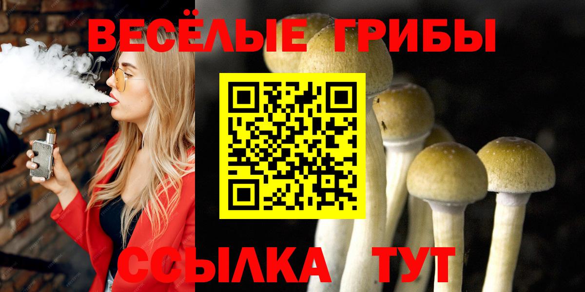 Галлюциногенные грибы Psilocybine cubensis Гай